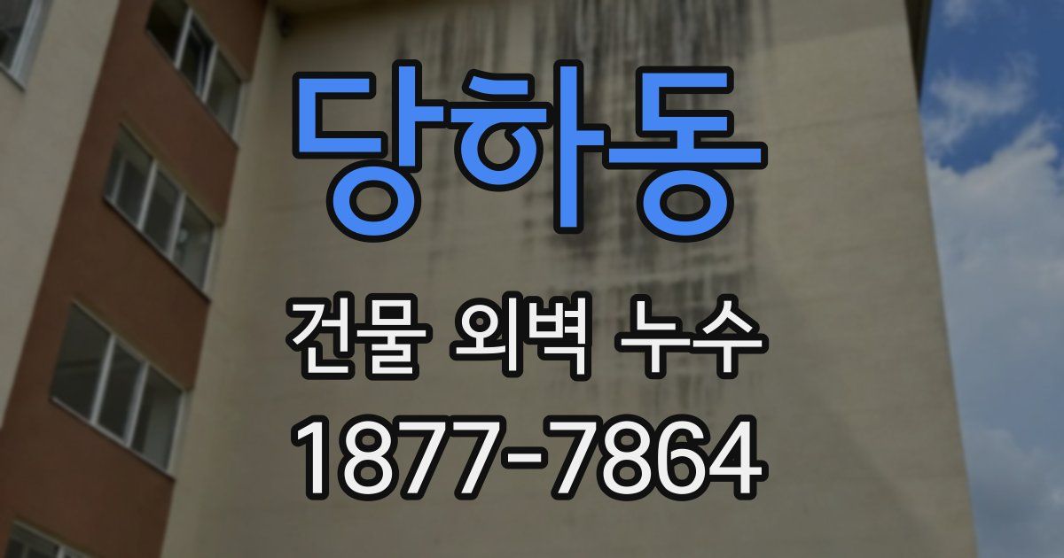 당하동 건물 외벽 누수