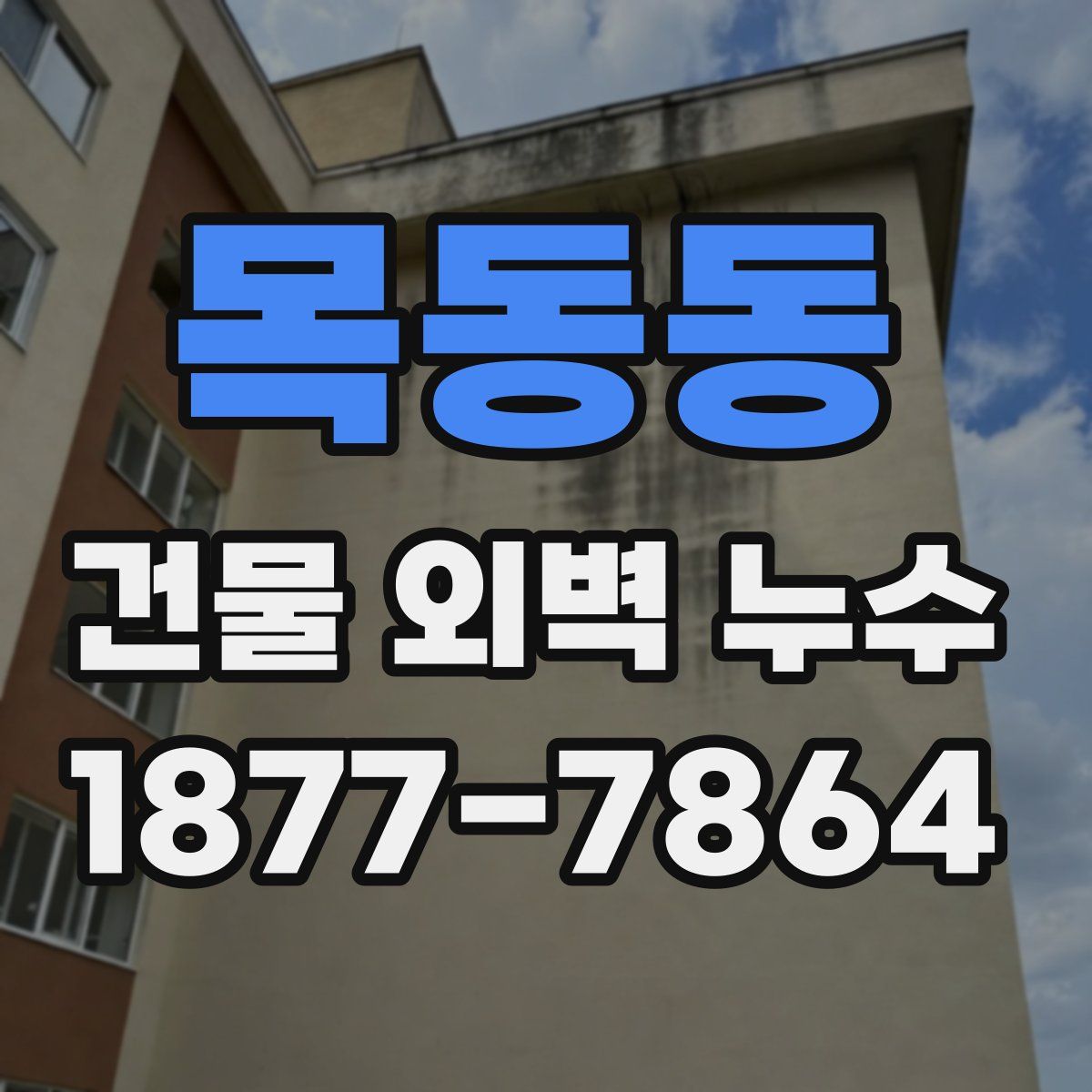 목동동 건물 외벽 누수