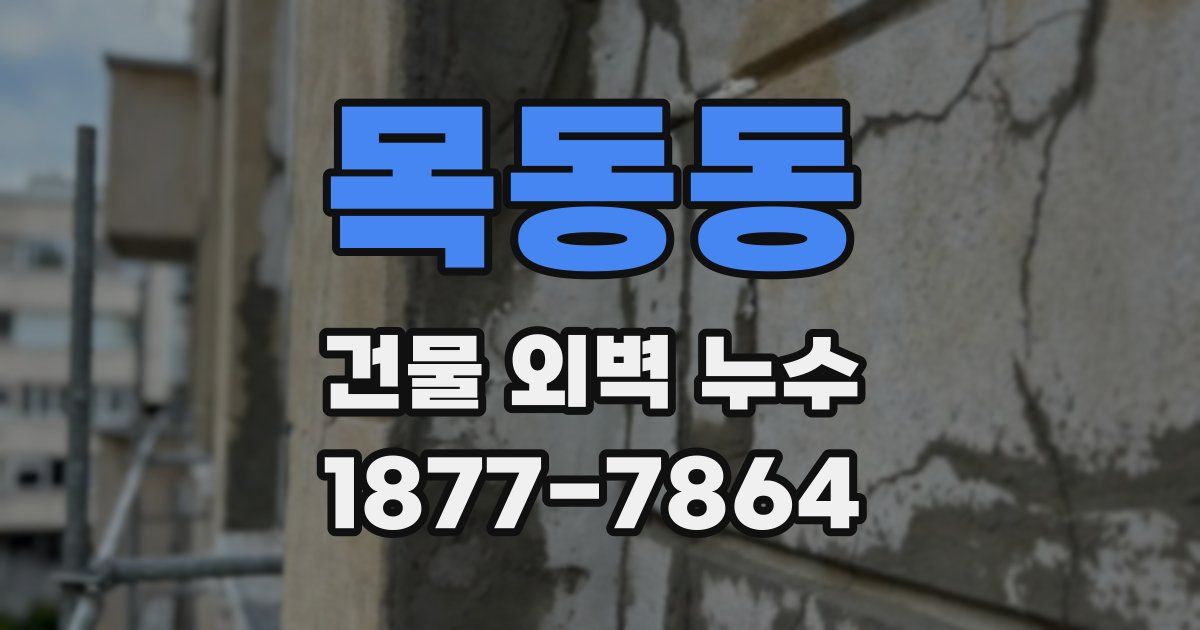 목동동 건물 외벽 누수