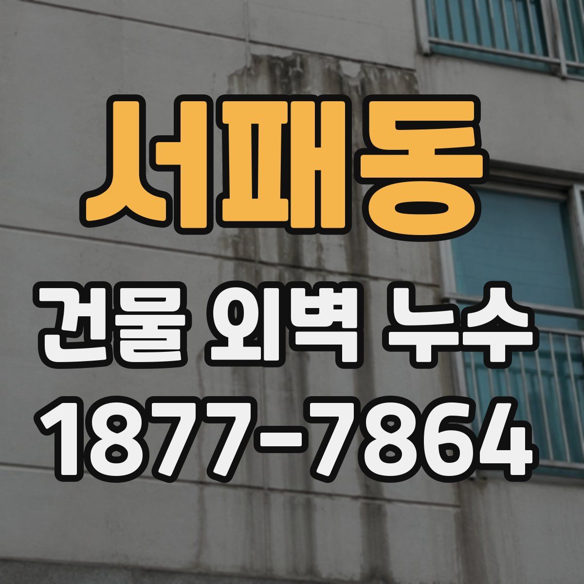 서패동 건물 외벽 누수