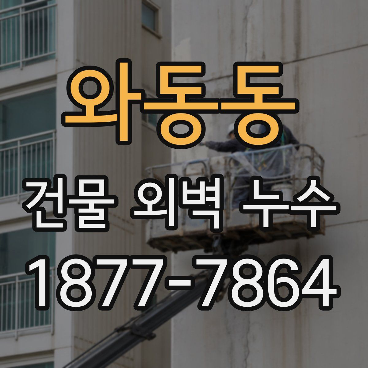 와동동 건물 외벽 누수