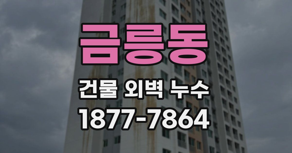 금릉동 건물 외벽 누수