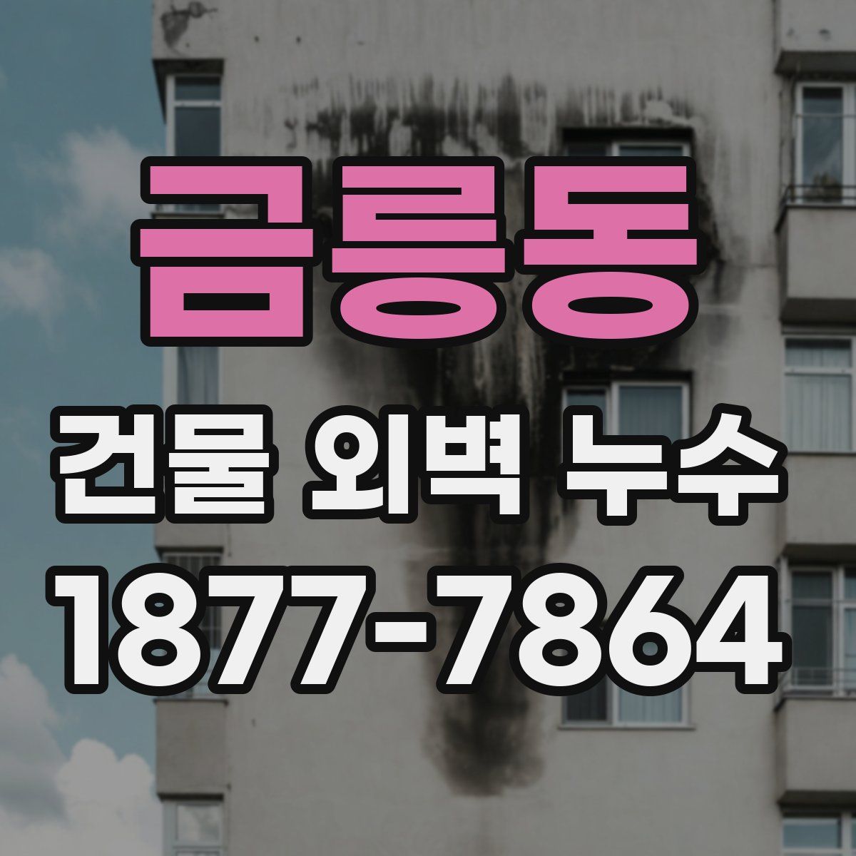 금릉동 건물 외벽 누수