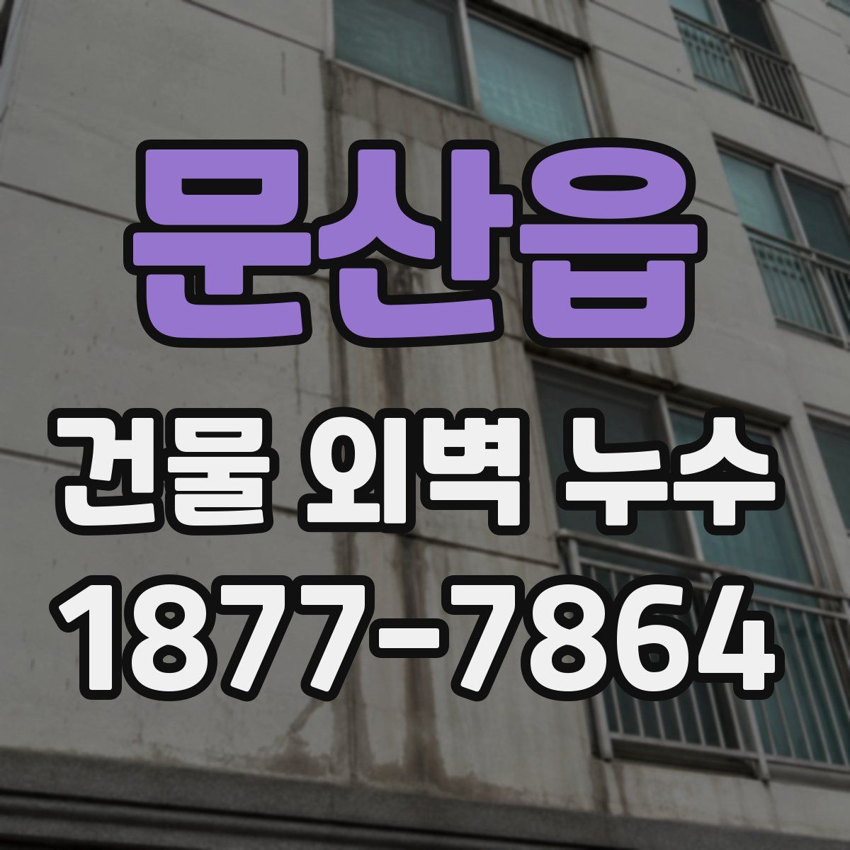 문산읍 건물 외벽 누수