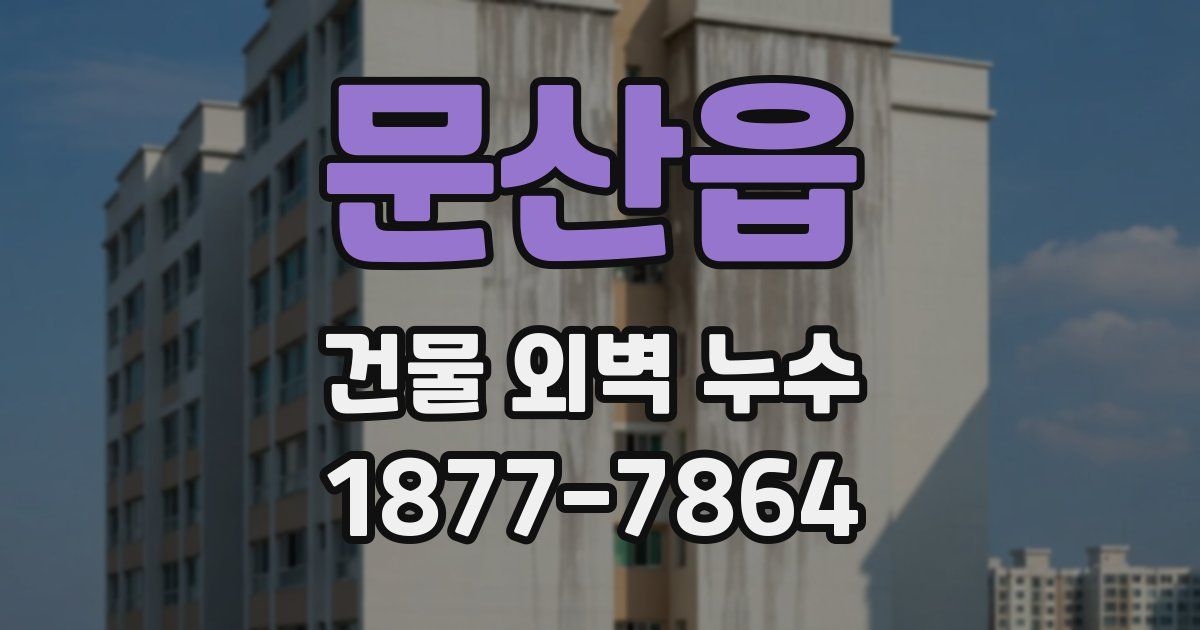 문산읍 건물 외벽 누수