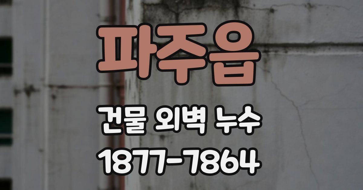 파주읍 건물 외벽 누수