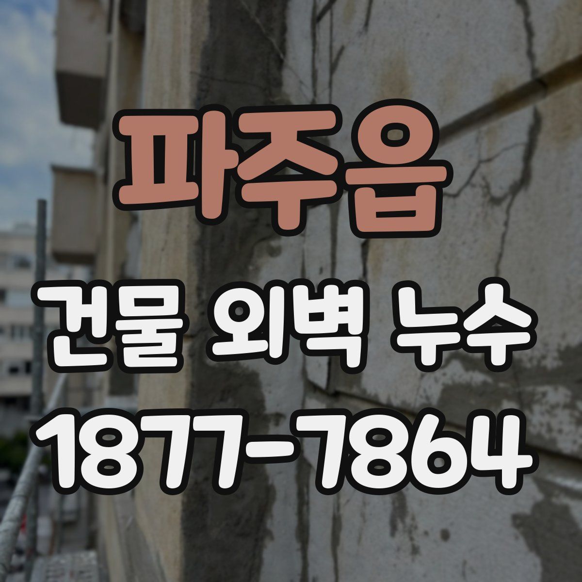 파주읍 건물 외벽 누수