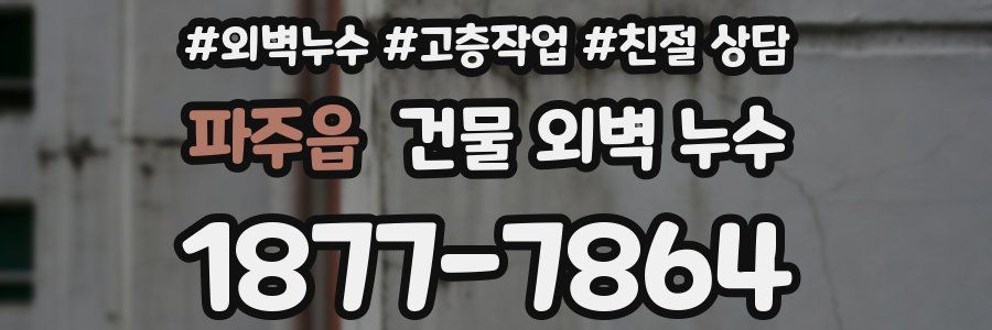 파주읍 건물 외벽 누수