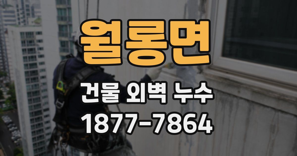 월롱면 건물 외벽 누수