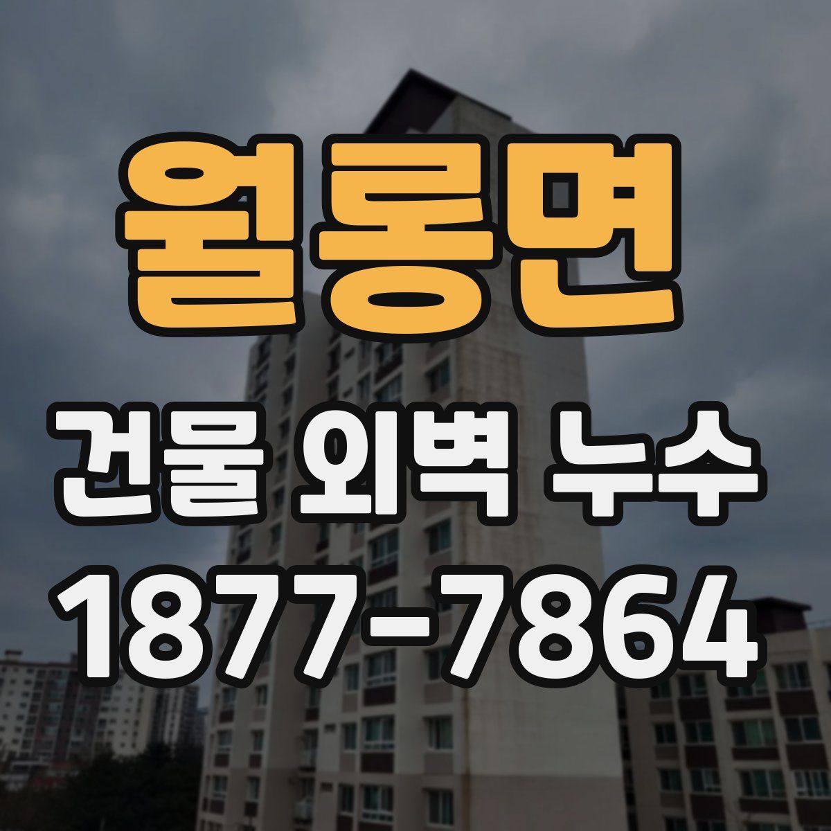 월롱면 건물 외벽 누수