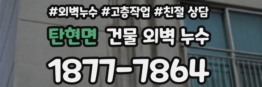 탄현면 건물 외벽 누수