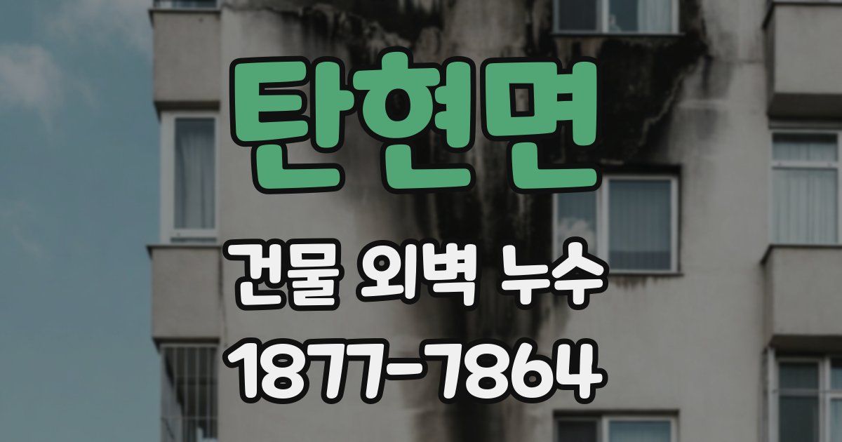 탄현면 건물 외벽 누수