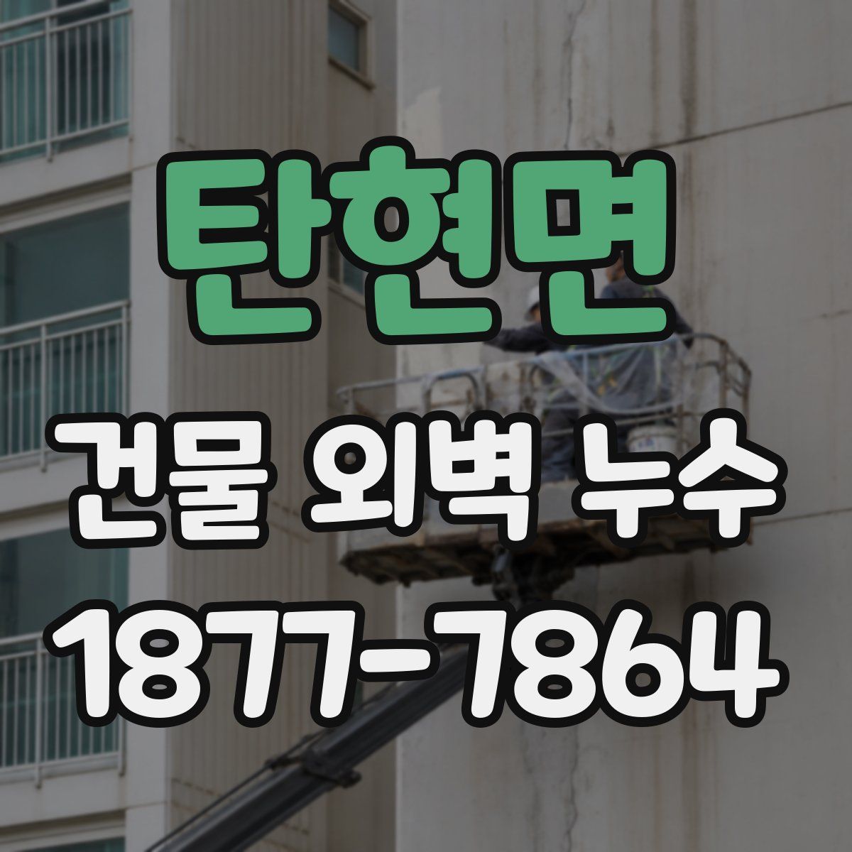 탄현면 건물 외벽 누수