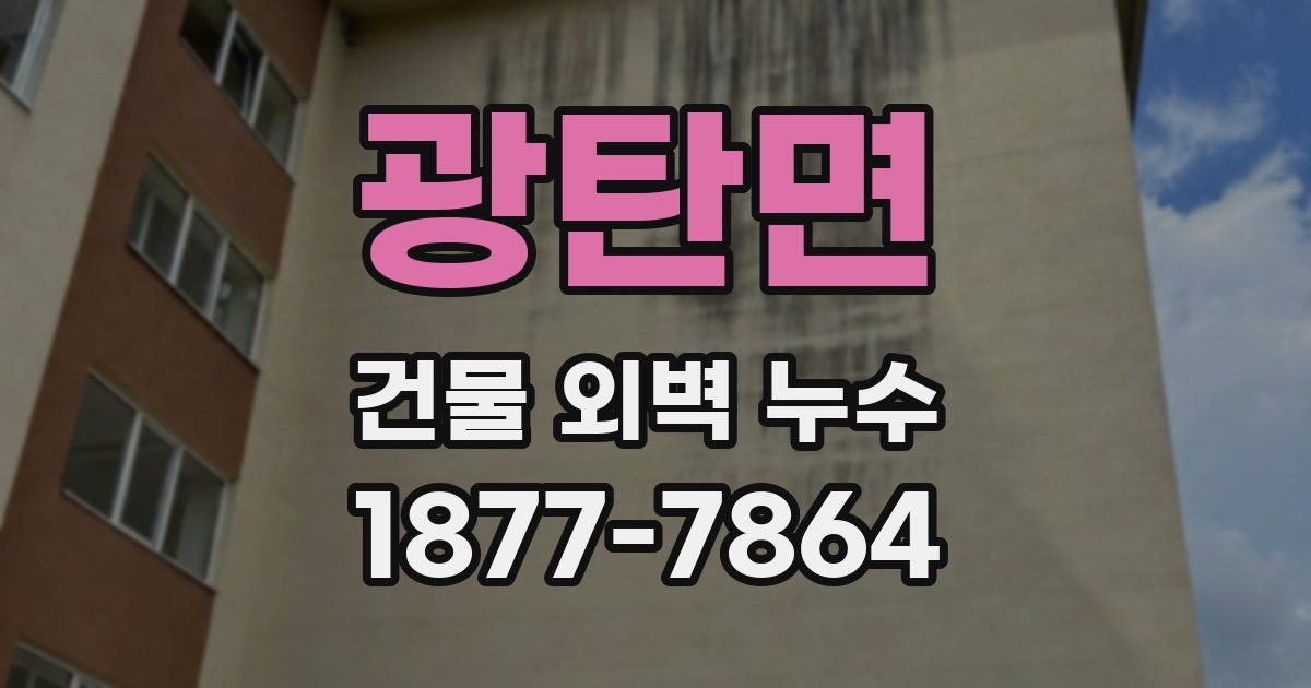 광탄면 건물 외벽 누수