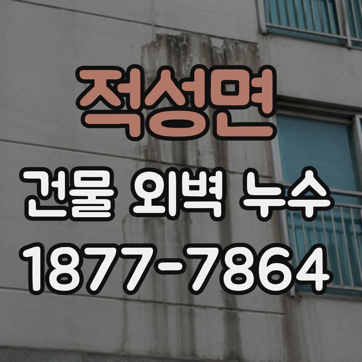 적성면 건물 외벽 누수