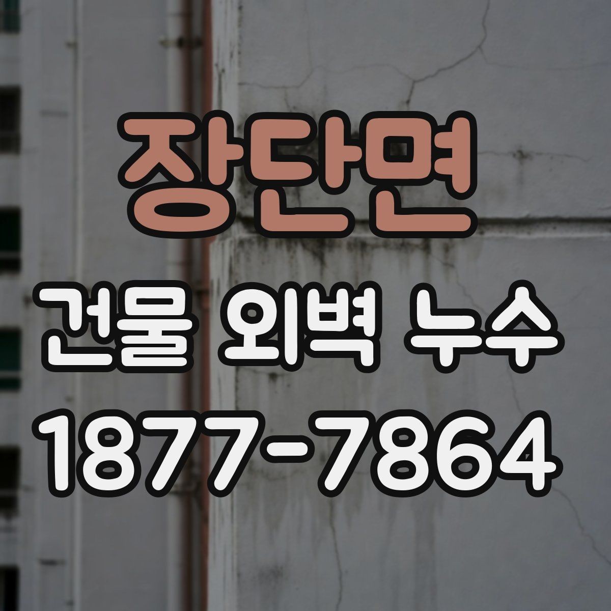 장단면 건물 외벽 누수 장마철 대비 점검 체크