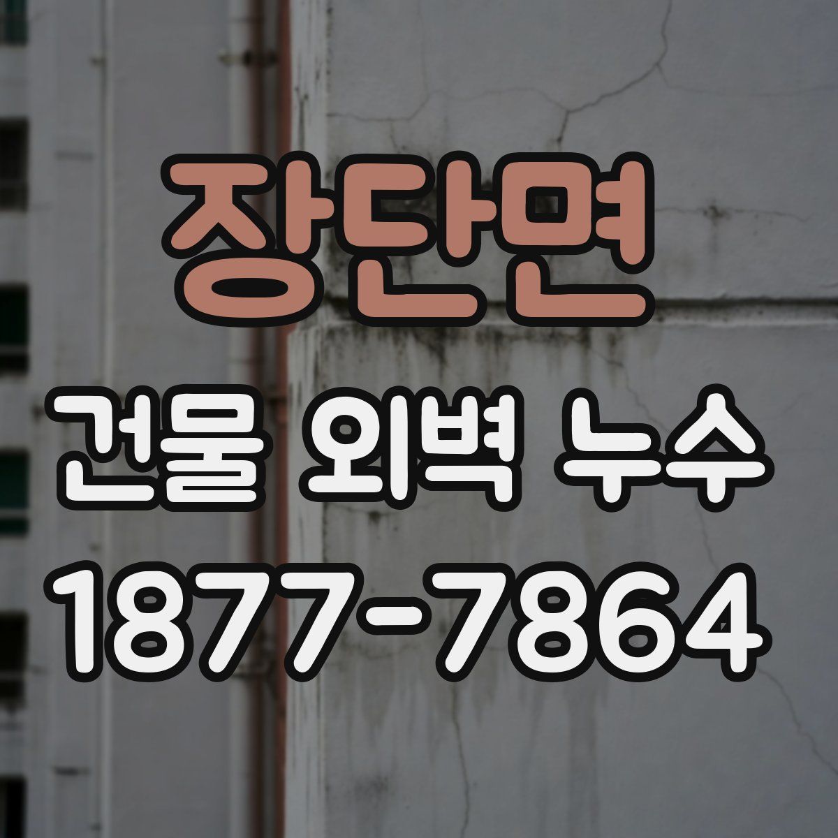 장단면 건물 외벽 누수