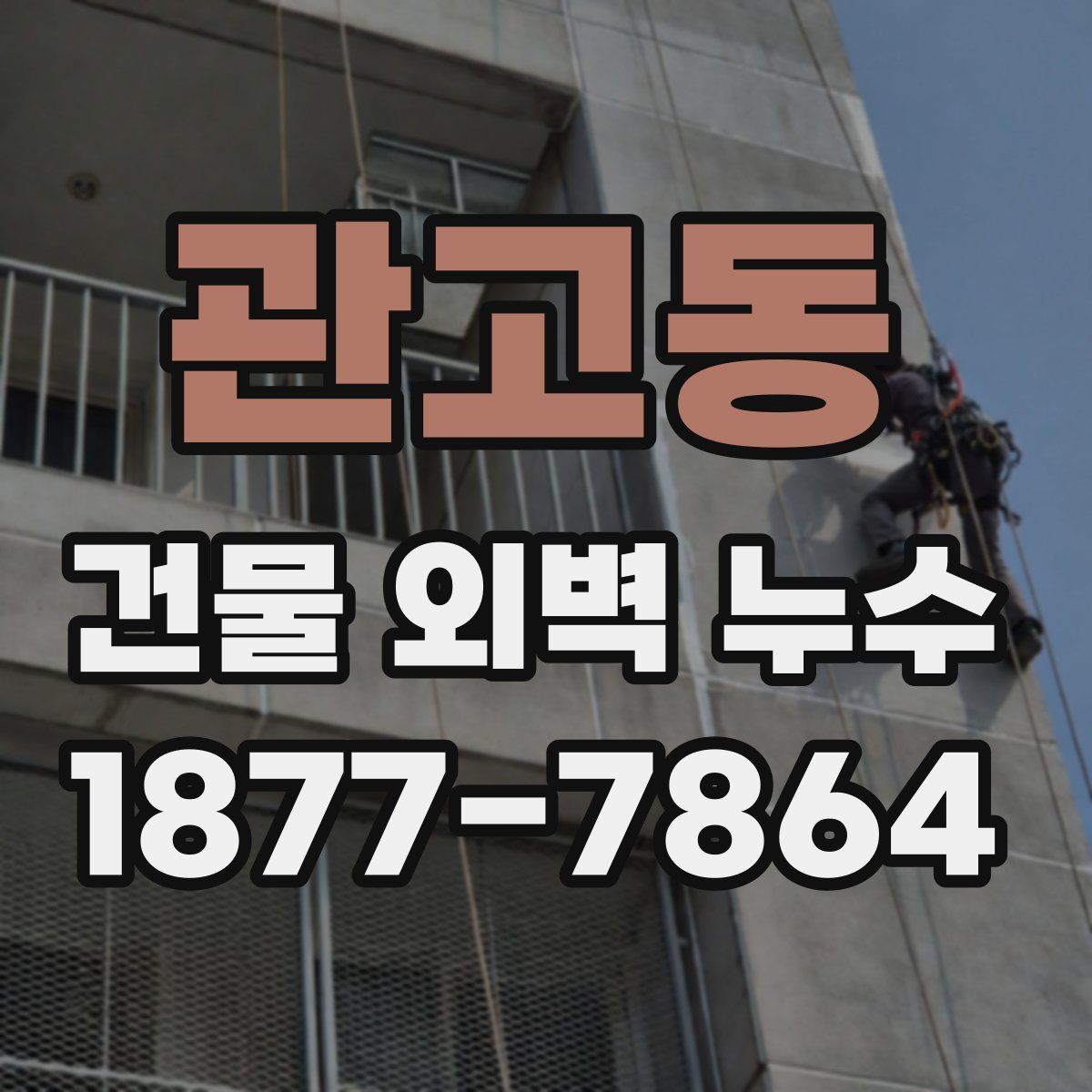 관고동 건물 외벽 누수