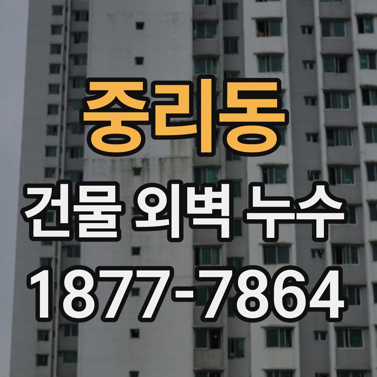 중리동 건물 외벽 누수