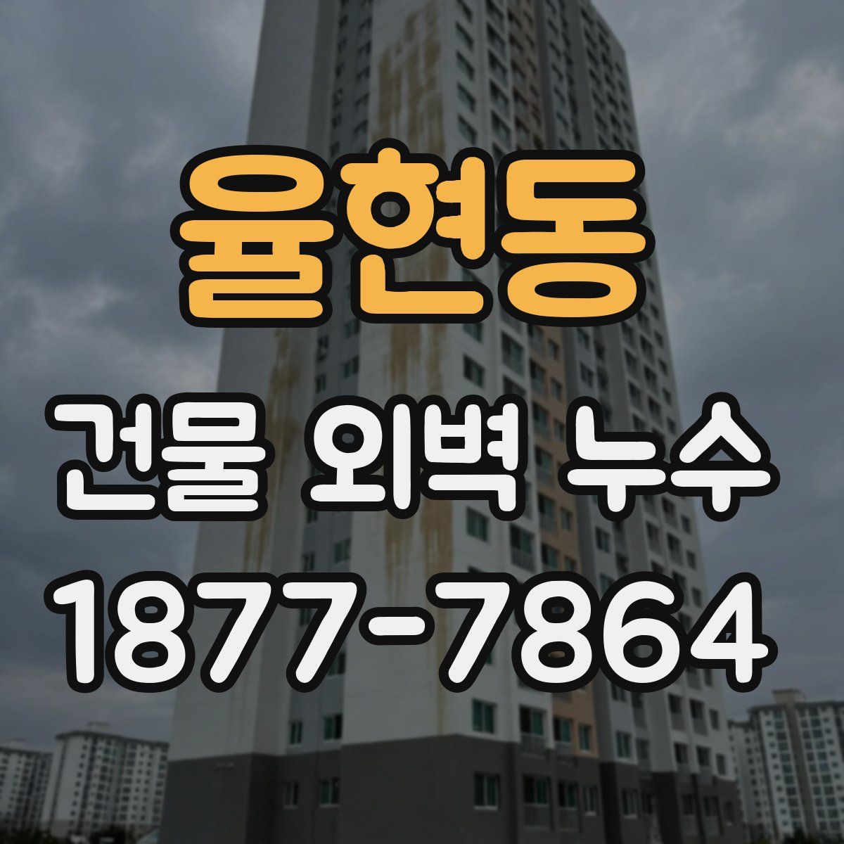 율현동 건물 외벽 누수