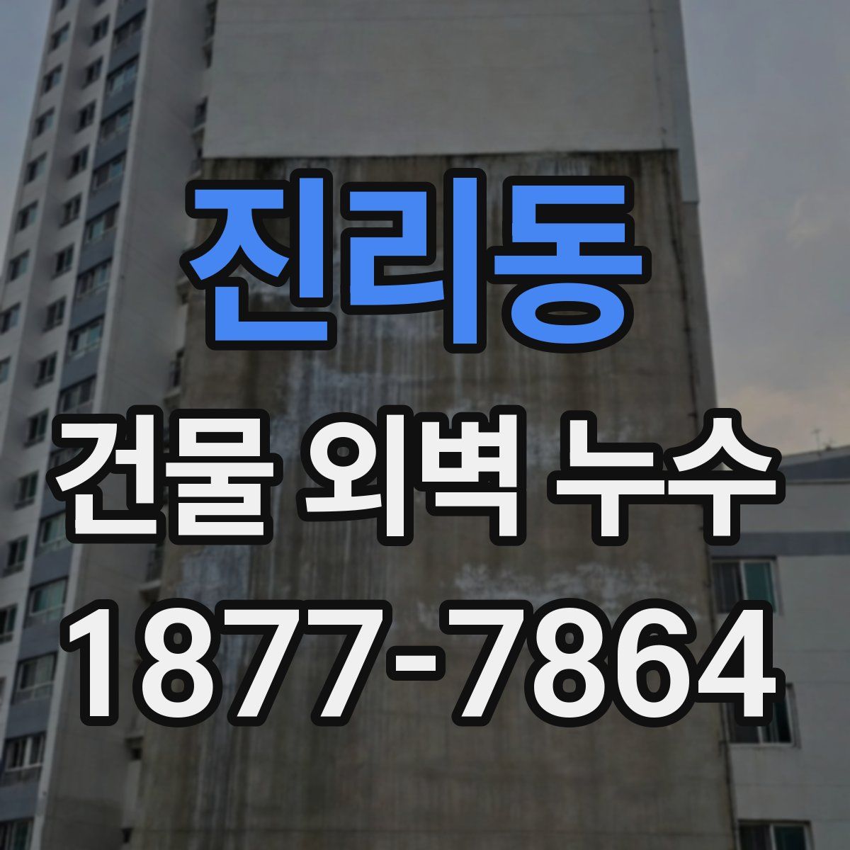 진리동 건물 외벽 누수
