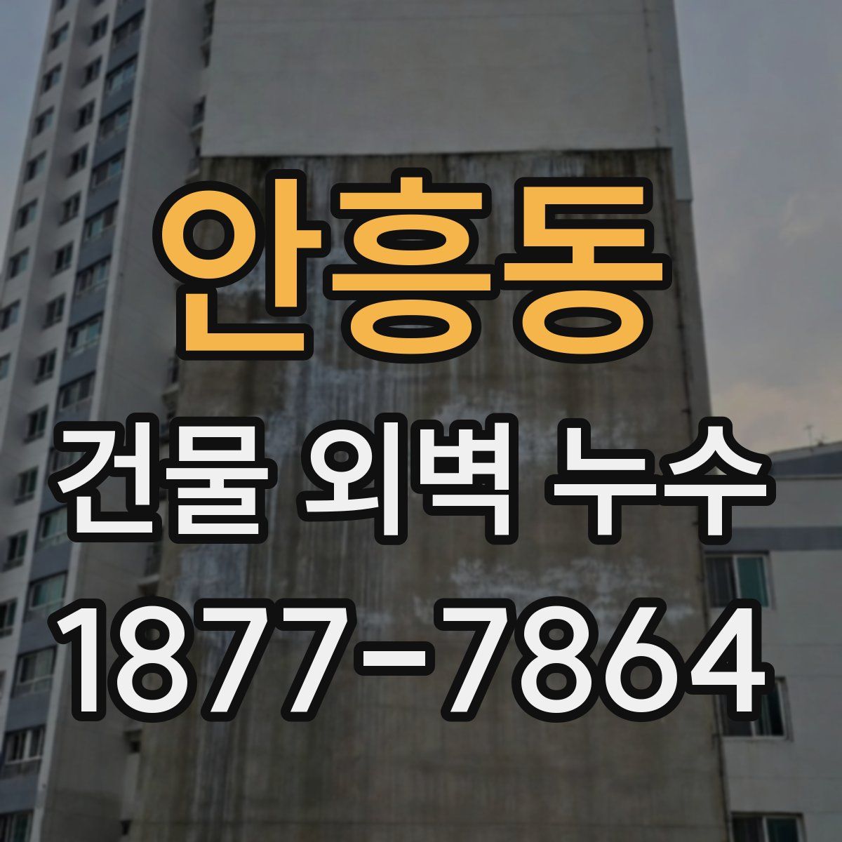 안흥동 건물 외벽 누수