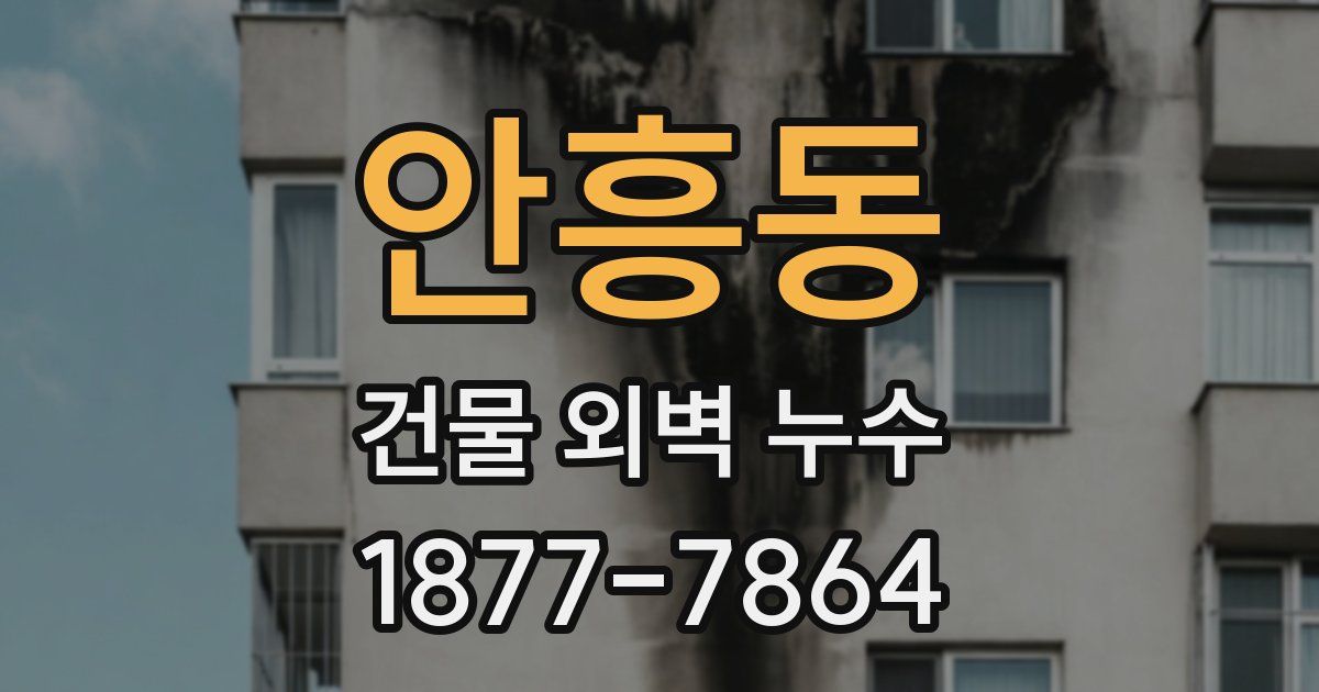 안흥동 건물 외벽 누수