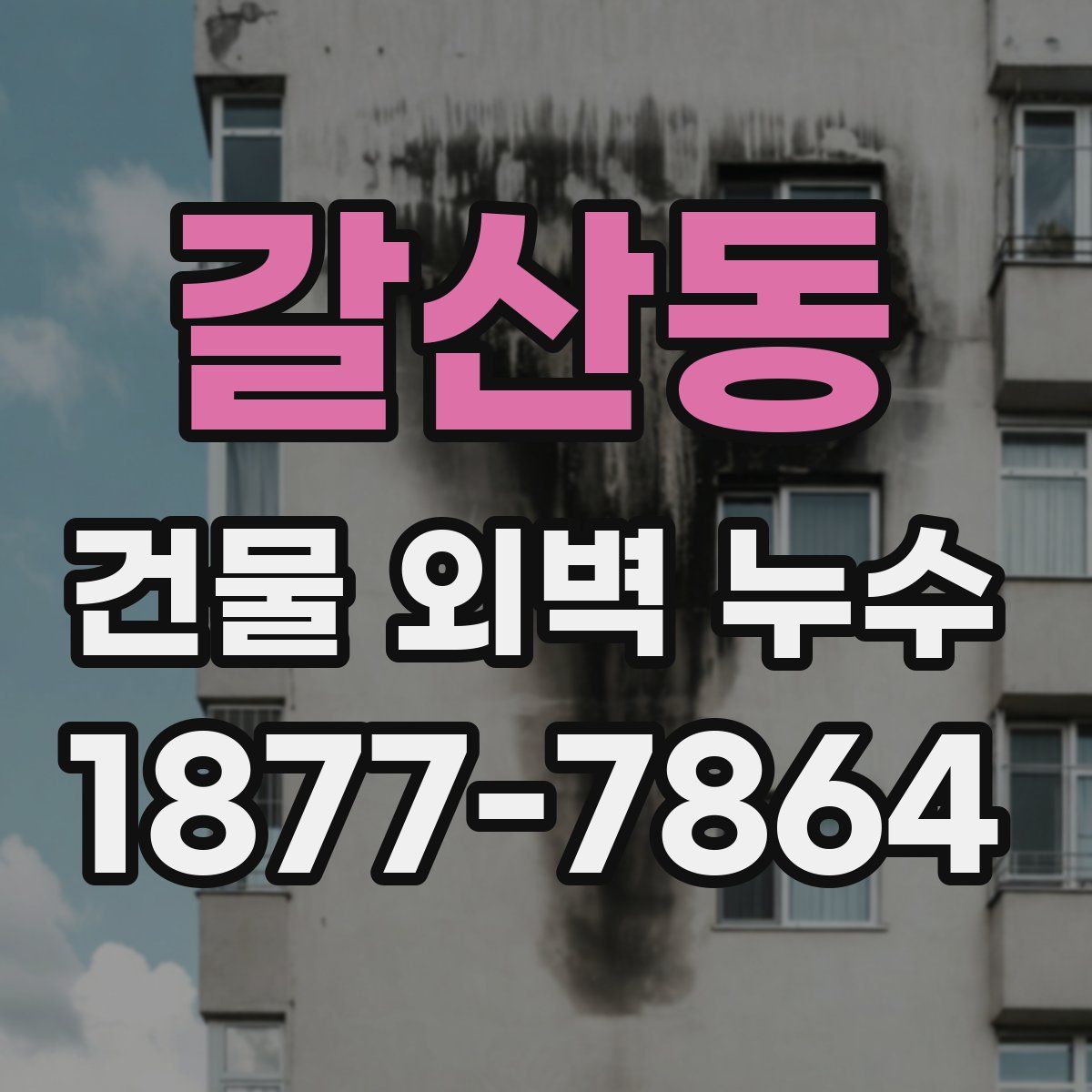 갈산동 건물 외벽 누수
