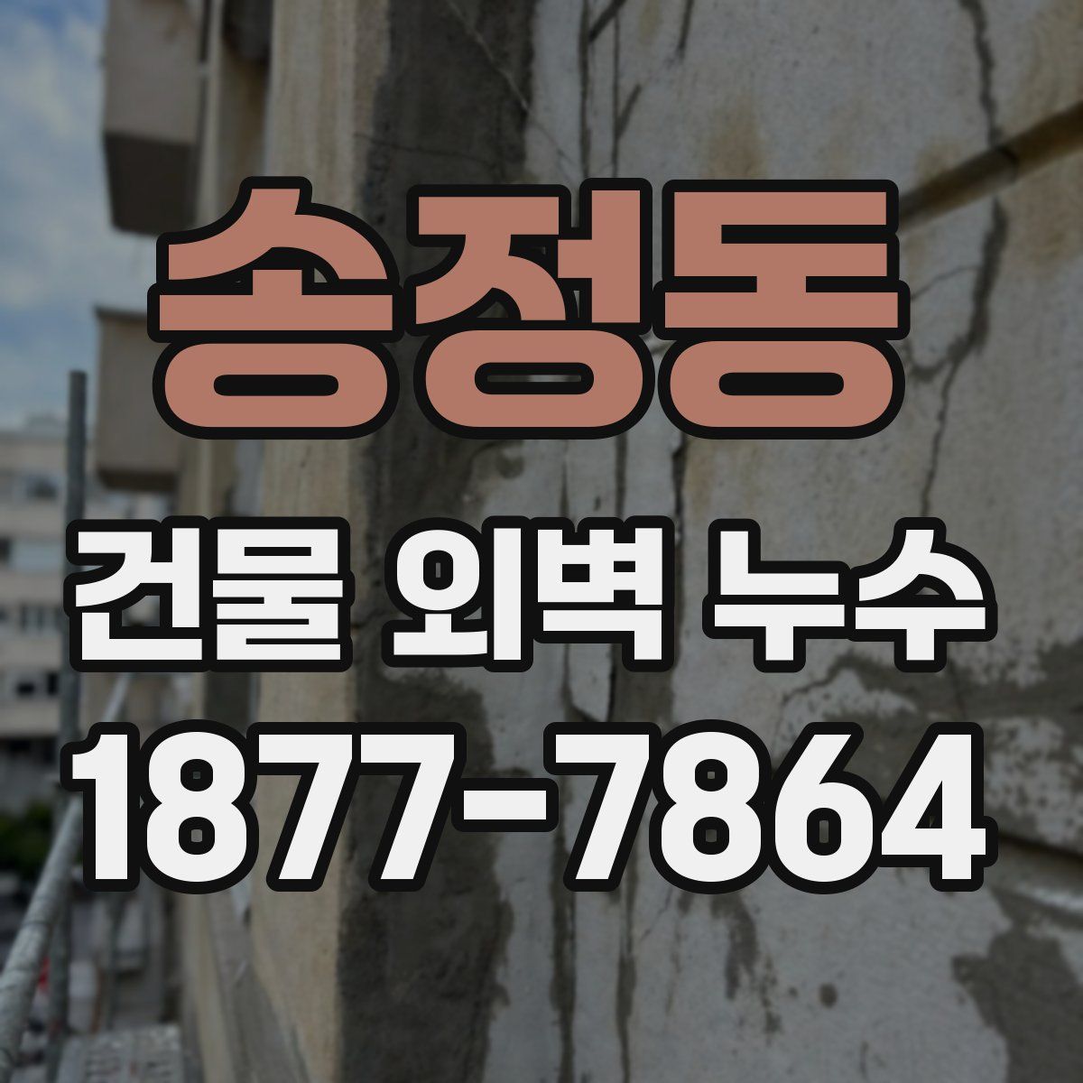 송정동 건물 외벽 누수