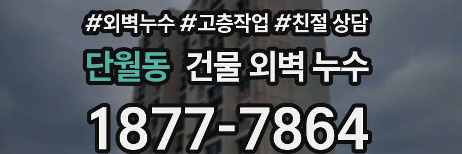 단월동 건물 외벽 누수