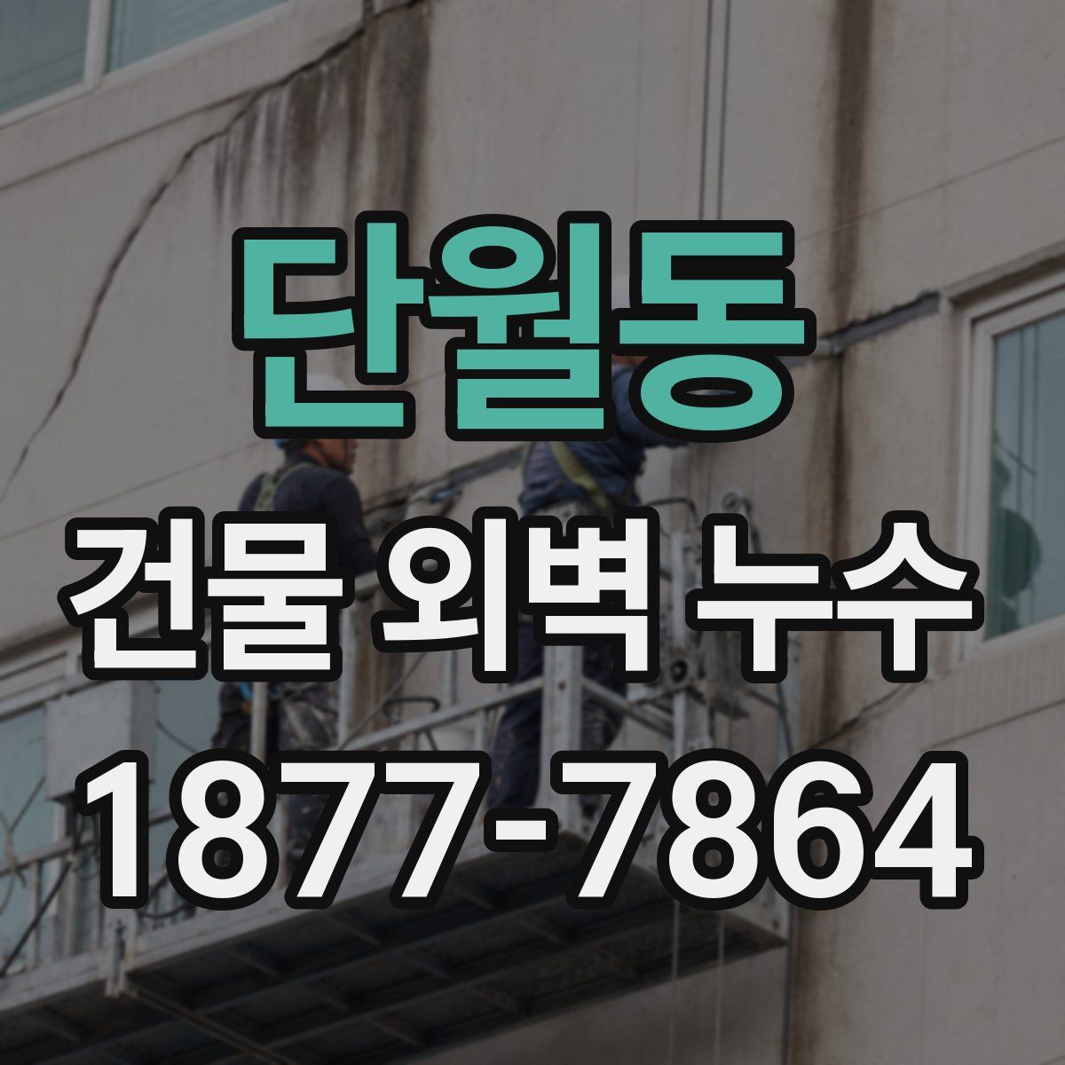 단월동 건물 외벽 누수