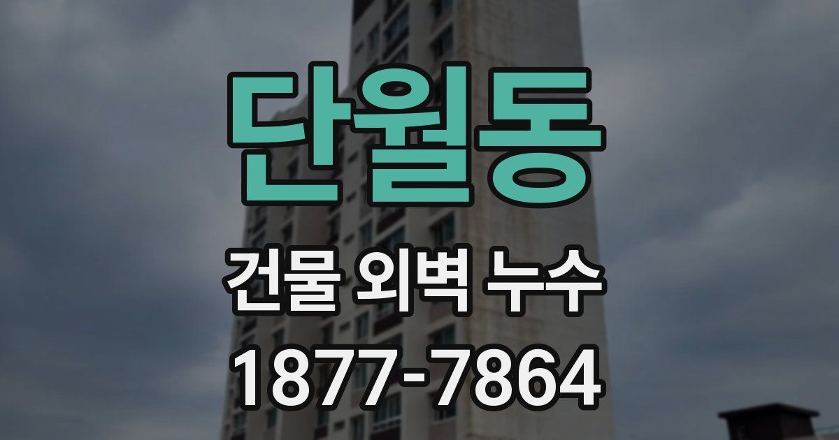 단월동 건물 외벽 누수