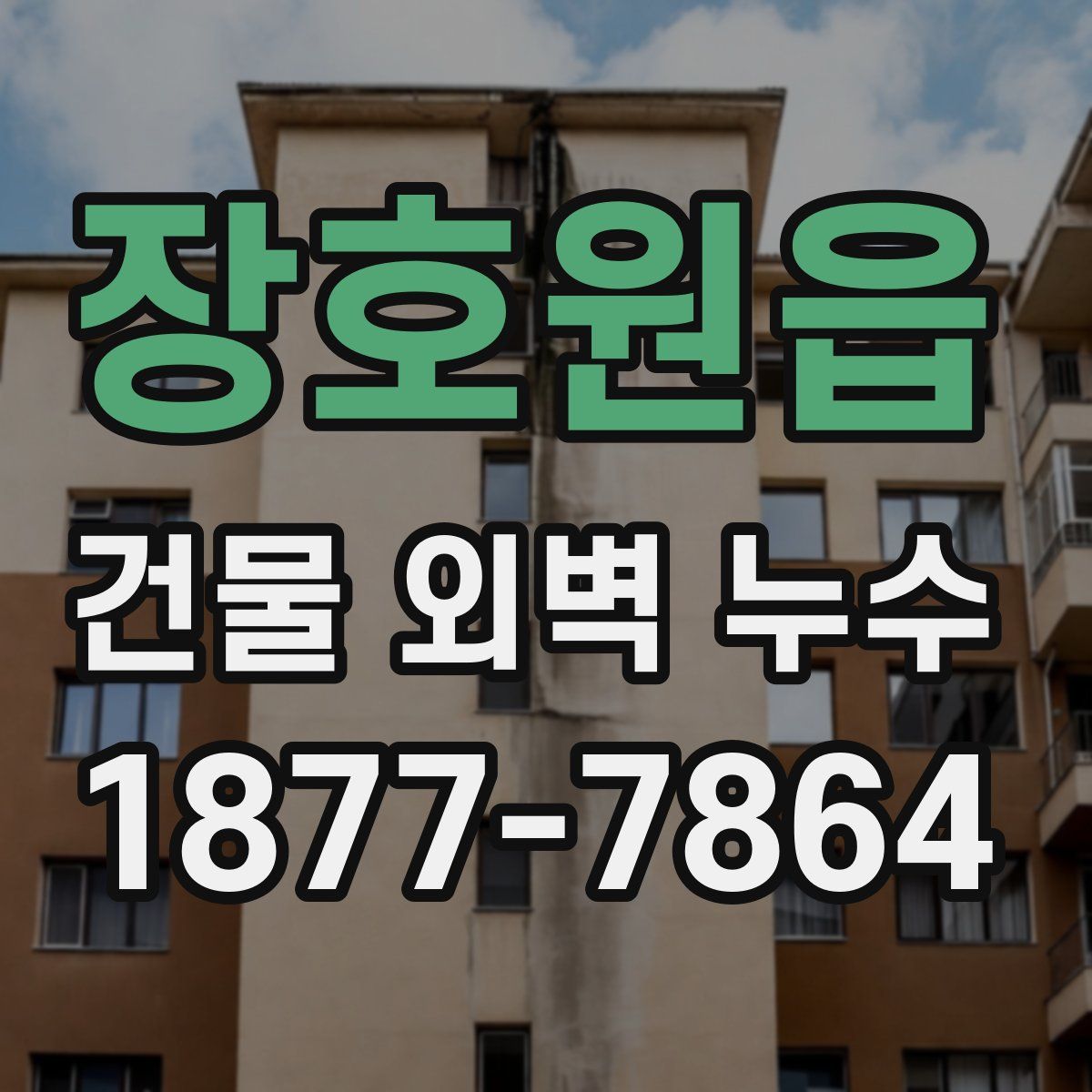 장호원읍 건물 외벽 누수