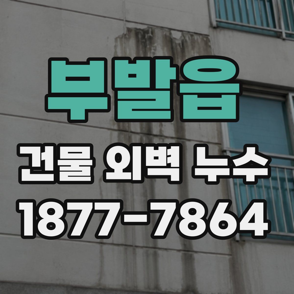 부발읍 건물 외벽 누수