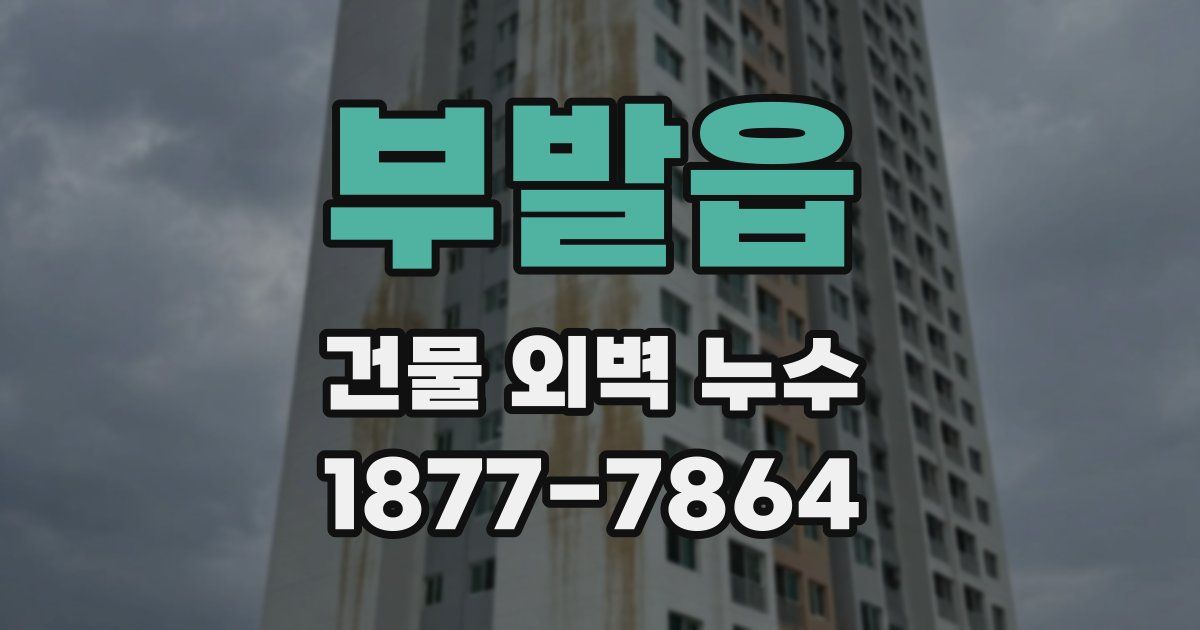 부발읍 건물 외벽 누수