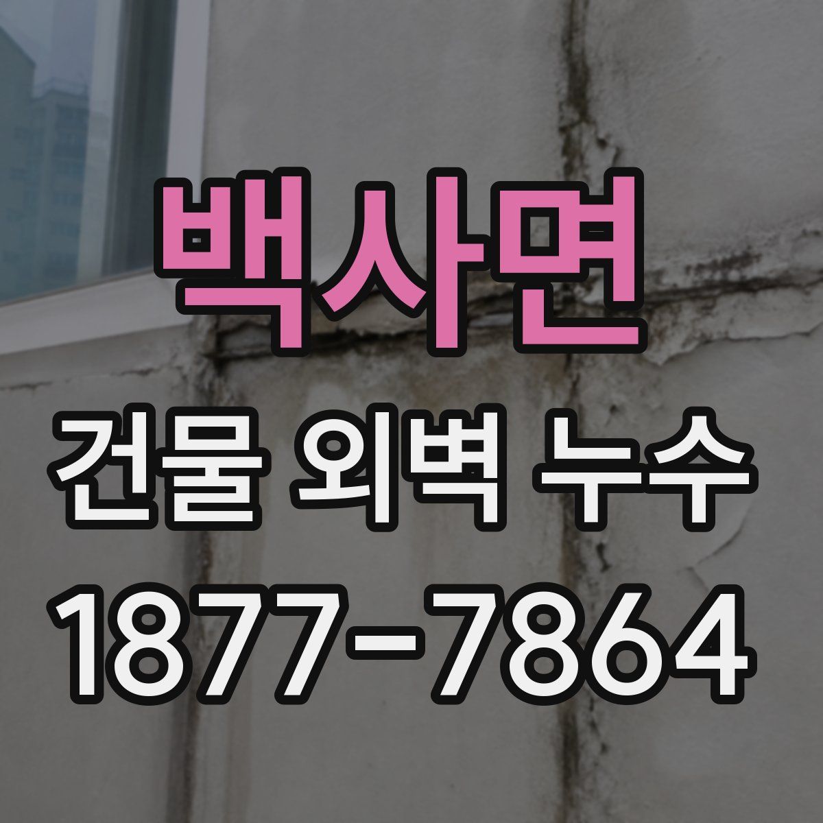 백사면 건물 외벽 누수