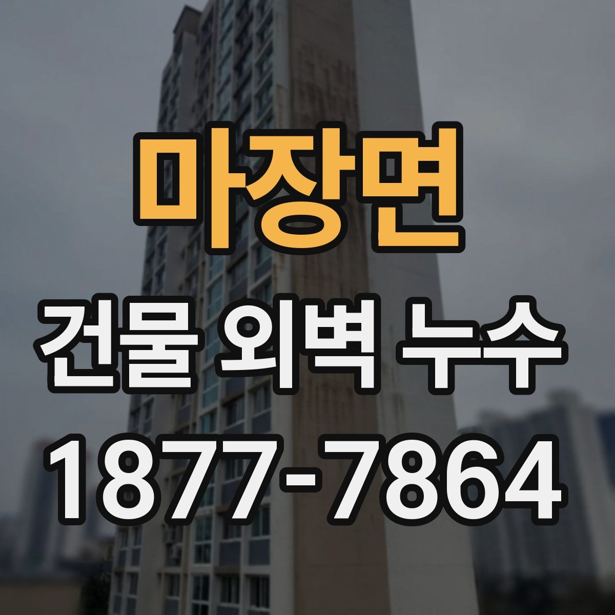 마장면 건물 외벽 누수
