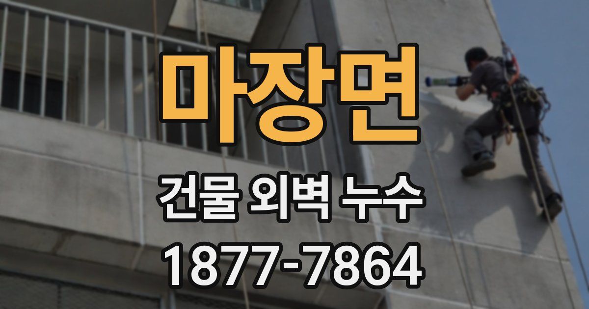 마장면 건물 외벽 누수