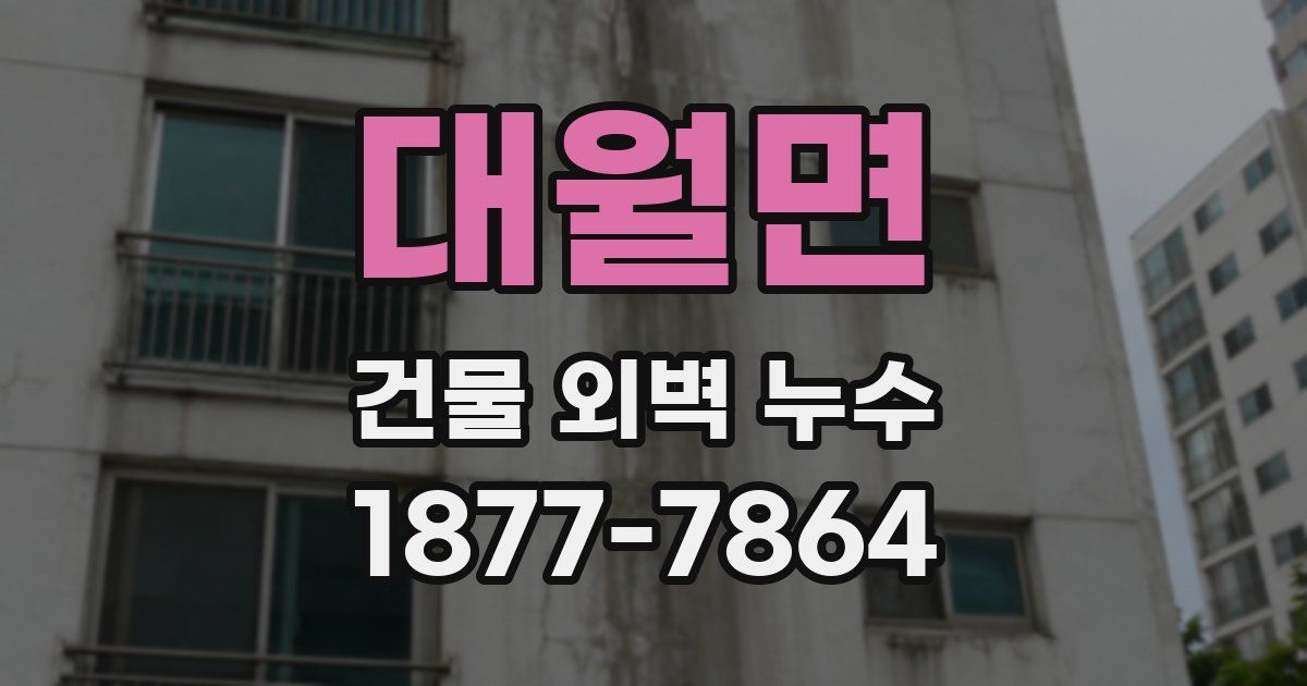 대월면 건물 외벽 누수