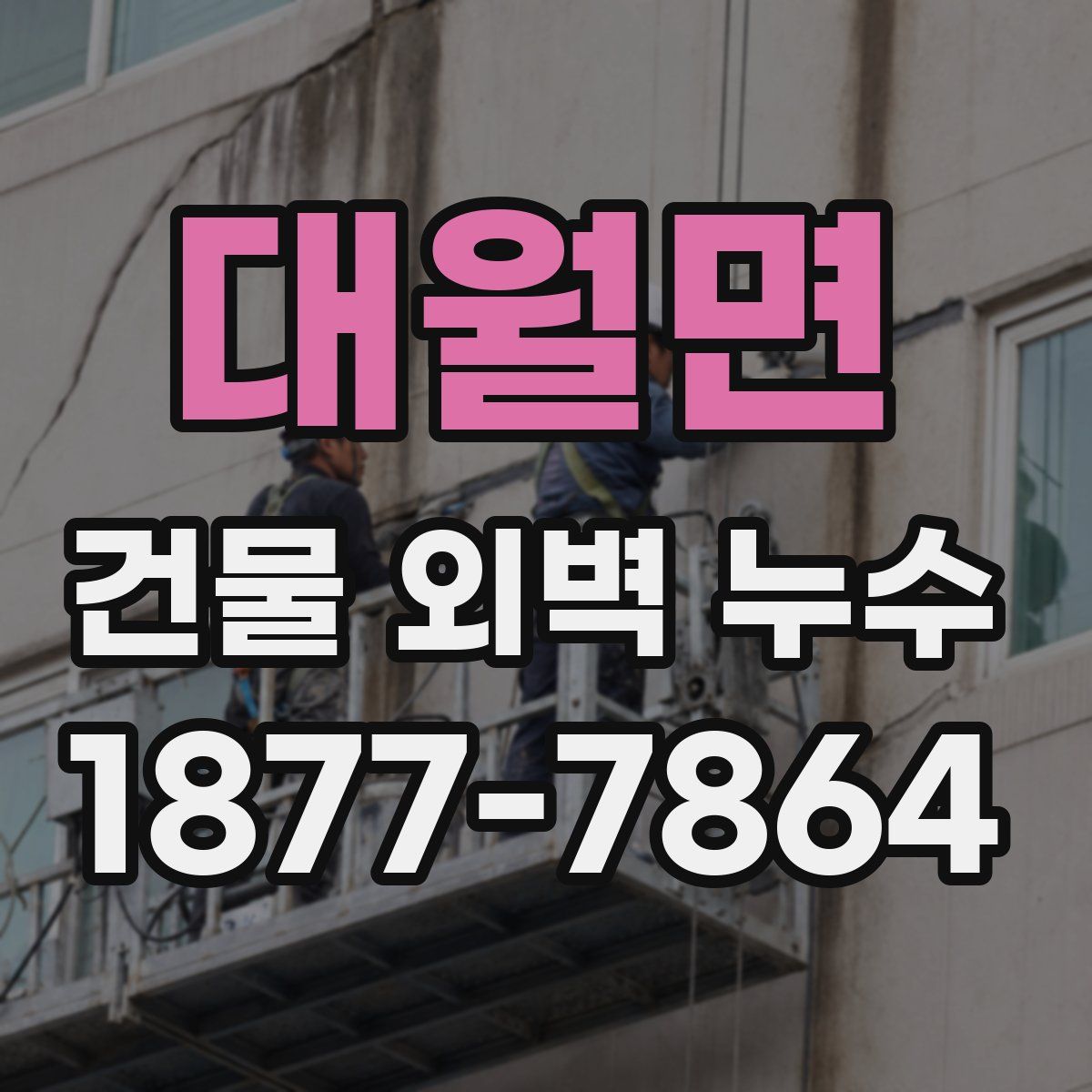 대월면 건물 외벽 누수