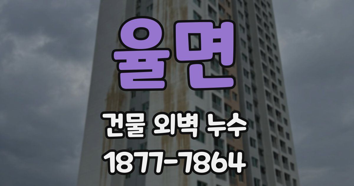 율면 건물 외벽 누수