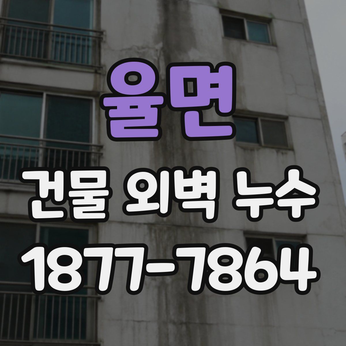 율면 건물 외벽 누수