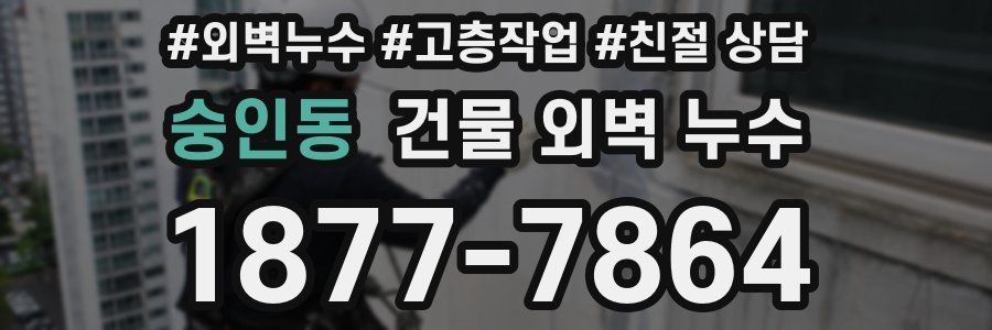 숭인동 건물 외벽 누수