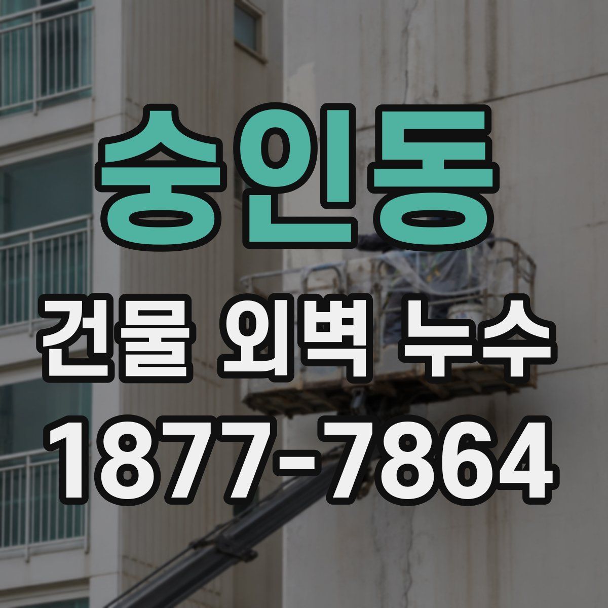 숭인동 건물 외벽 누수