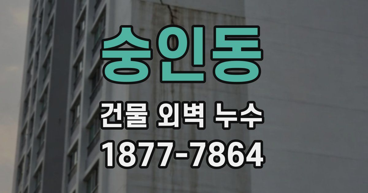 숭인동 건물 외벽 누수