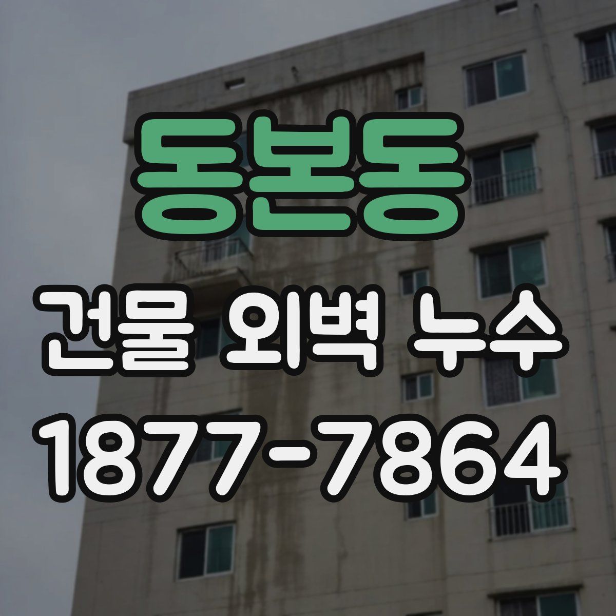 동본동 건물 외벽 누수