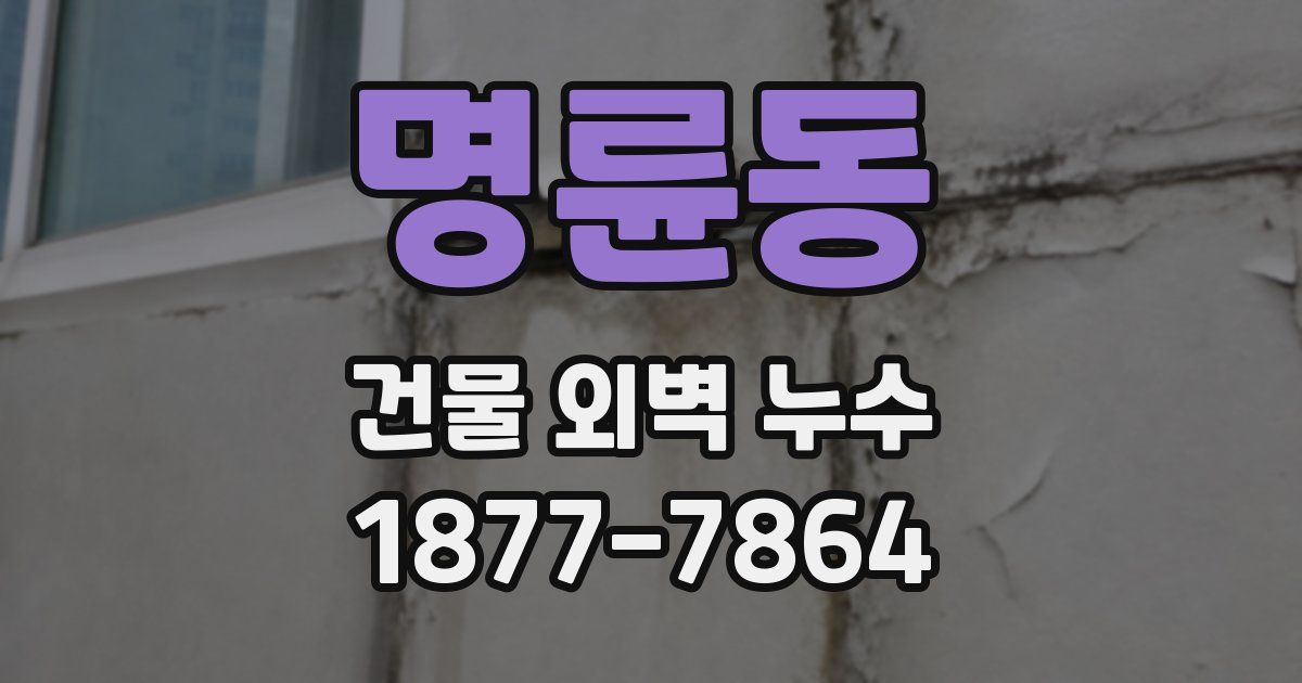 명륜동 건물 외벽 누수