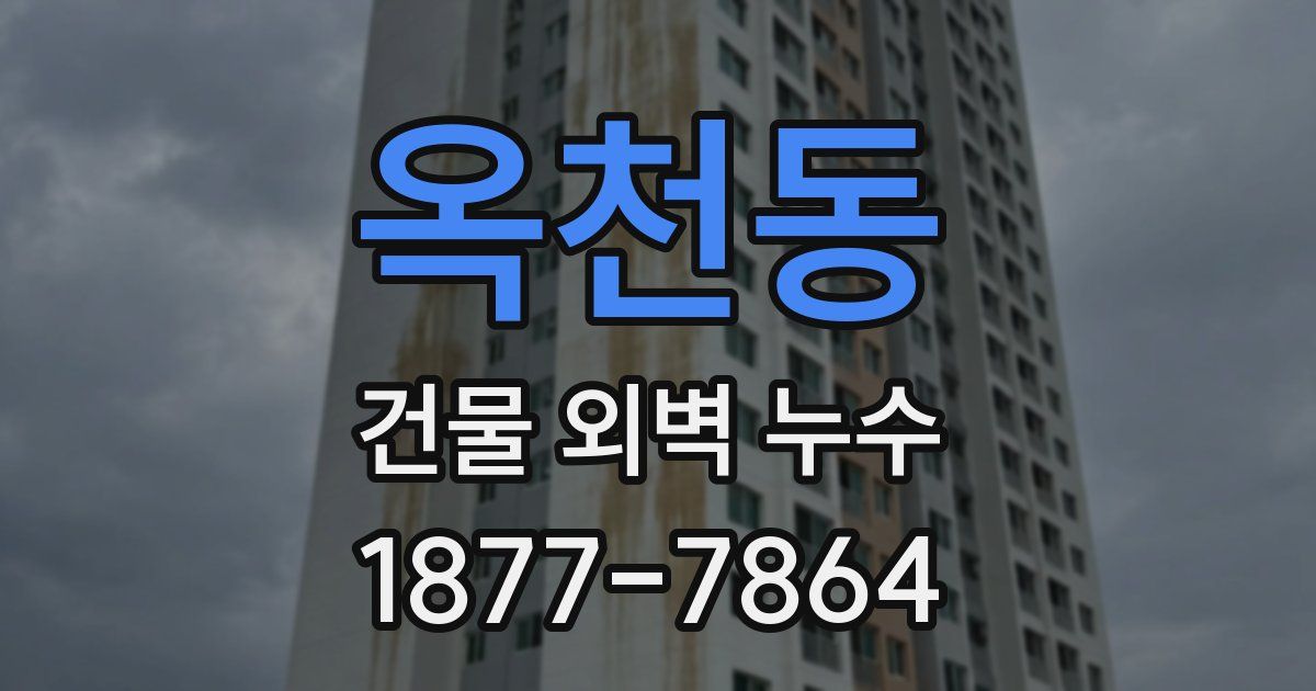옥천동 건물 외벽 누수
