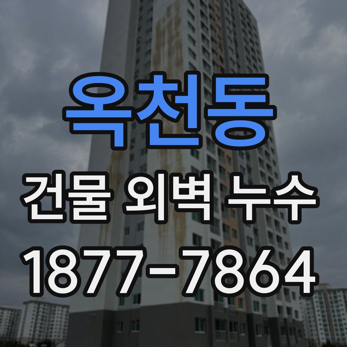 옥천동 건물 외벽 누수
