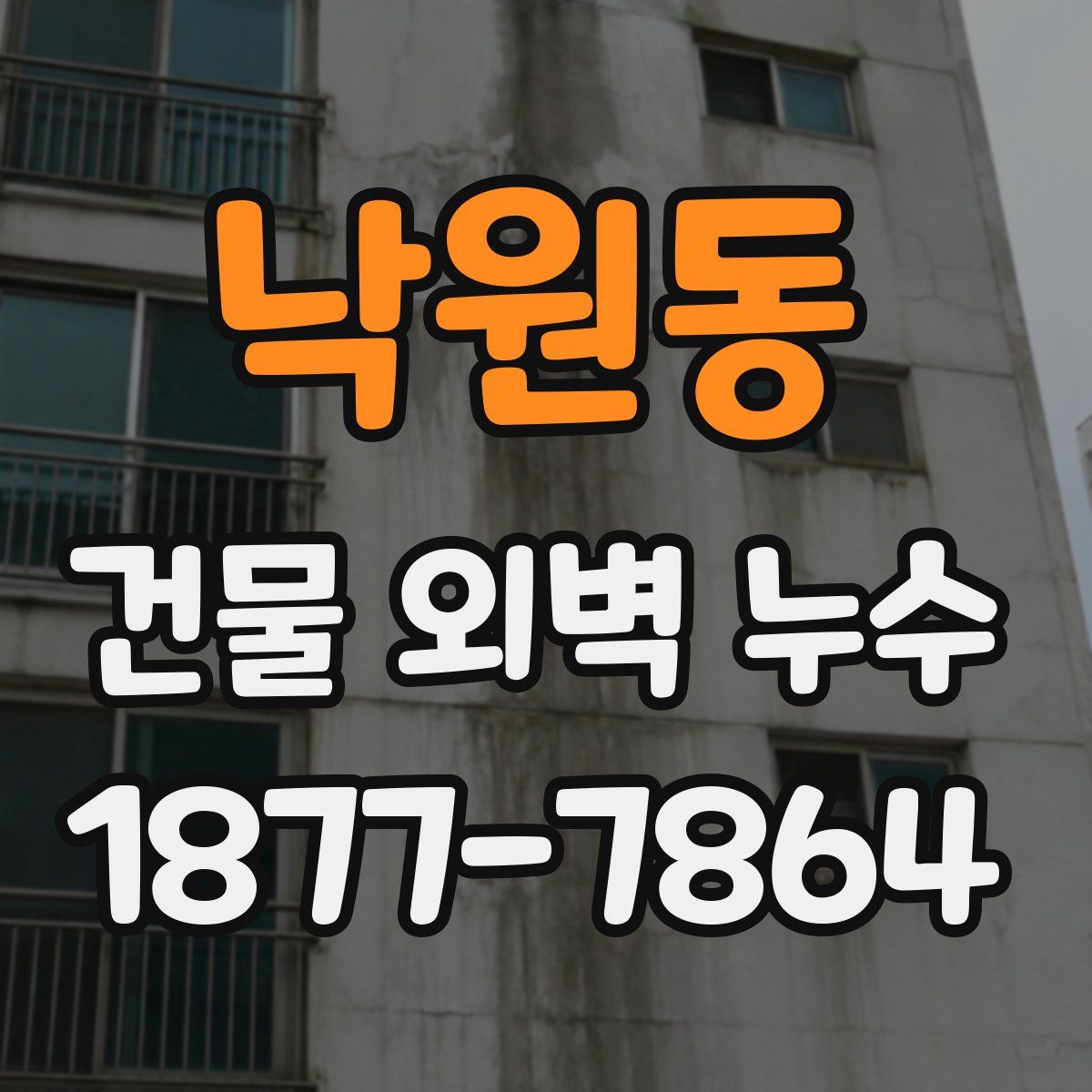 낙원동 건물 외벽 누수